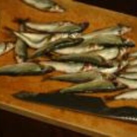 稚鮎のフライ レシピ 作り方 By Kiki Rin 楽天レシピ 稚鮎のフライ レシピ 作り方 By Kiki Rin 楽天レシピ